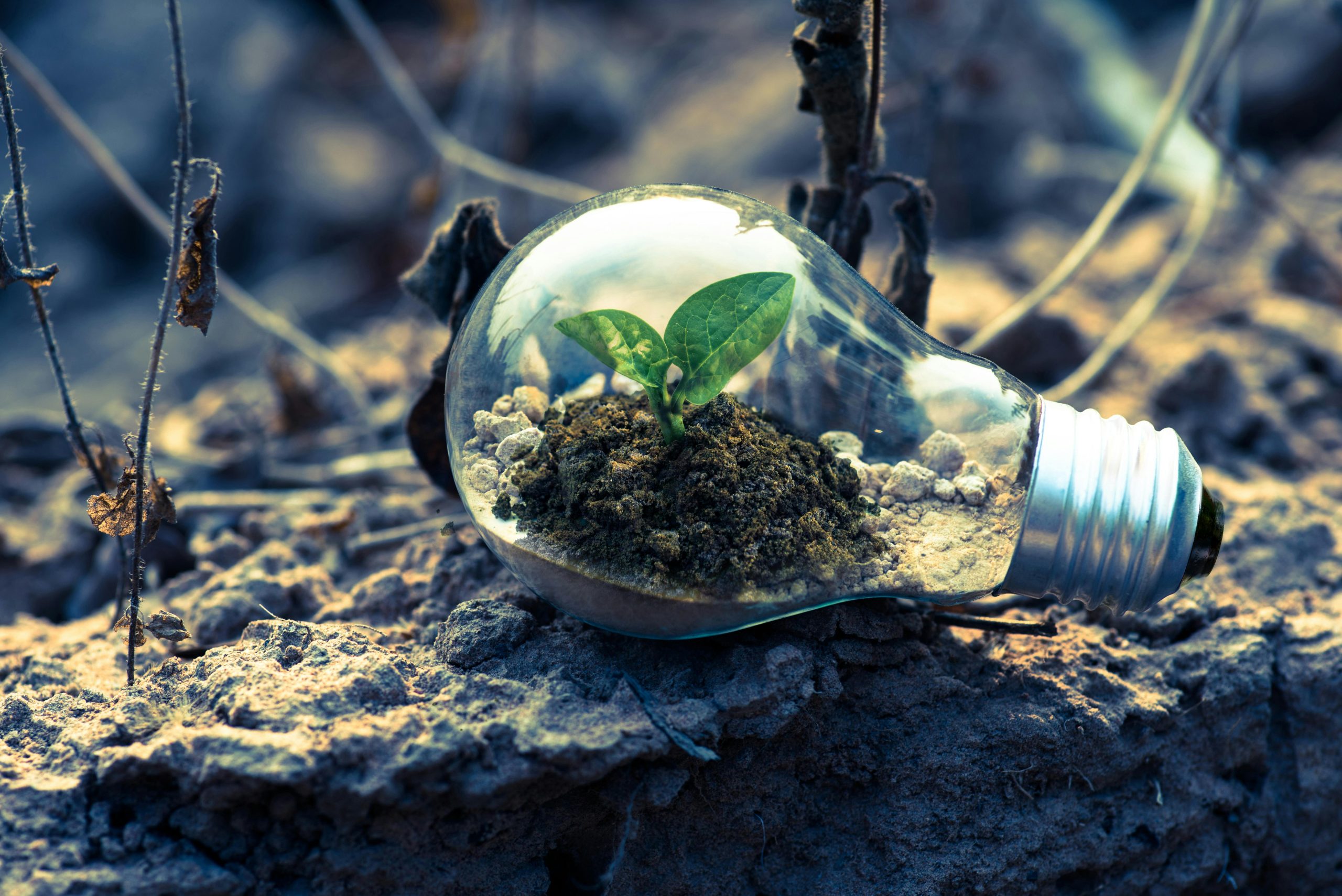 pexels-singkham-178541-1108572 Circular Economy: A Sustainable Solution for the GCC