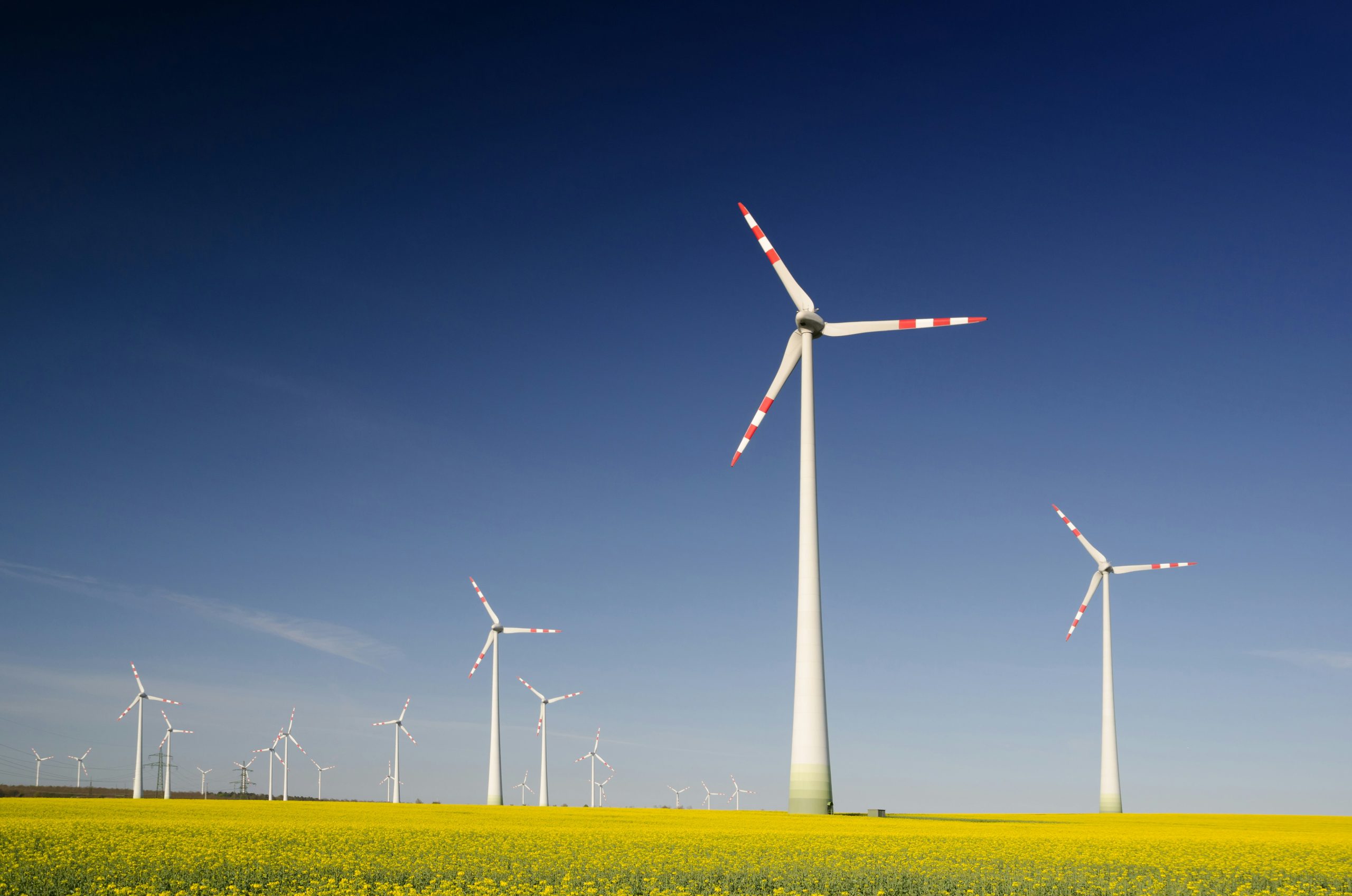 zbynek-burival-4NhqyQeErP8-unsplash What is ESG and Why is it important?