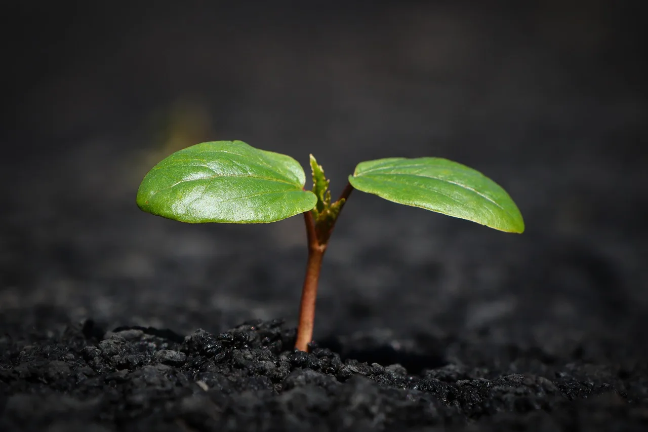 GCC sustainability news